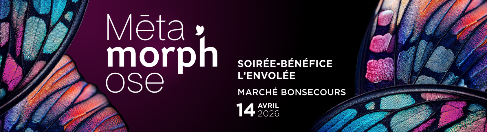 Header Site Français (16)