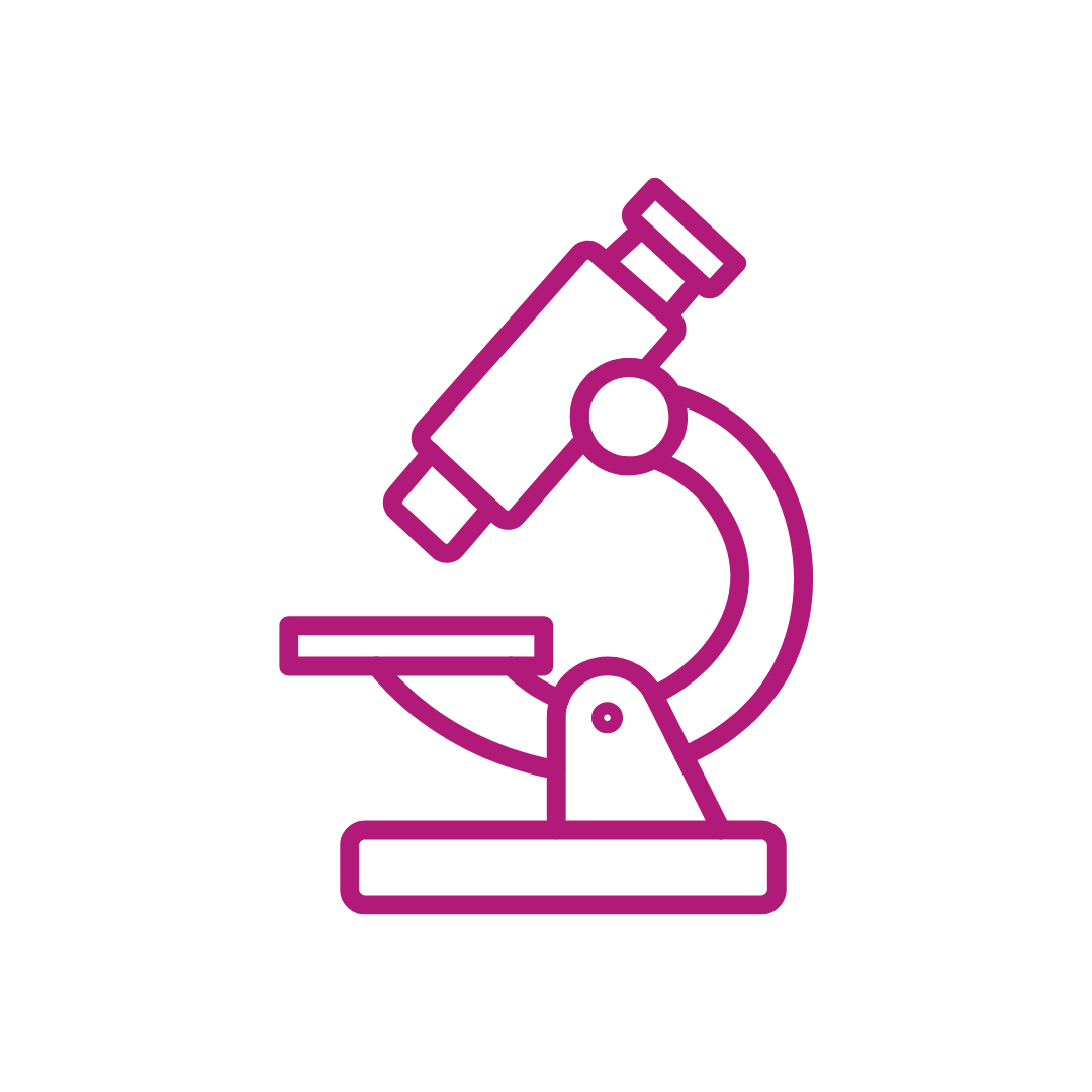 Projet De Recherche   Site Web