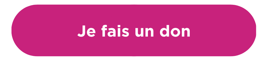 Bouton Faire Un Don (500 X 115 Px) (45)